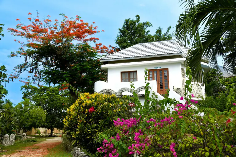 Treetop Cottage