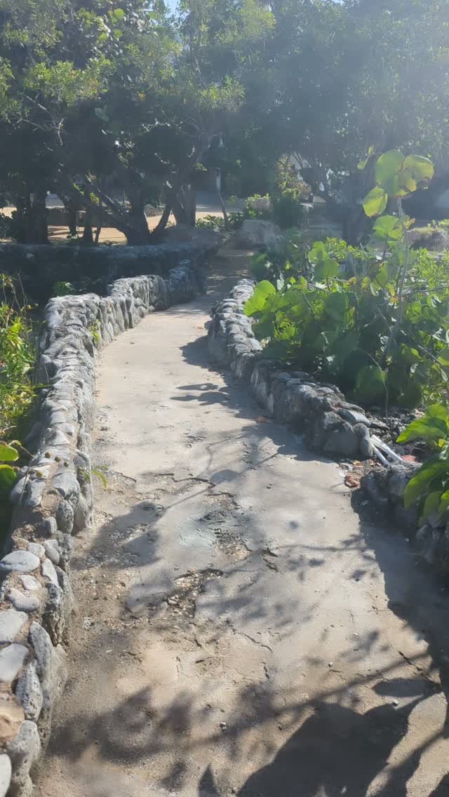 Stone garden path winding through the tropical grounds at Coral Cove